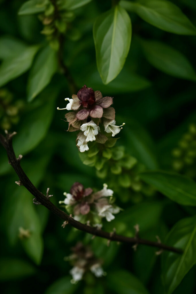 Featured Image 7 683x1024